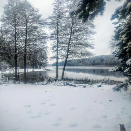 Vakantiehuis Przystanek