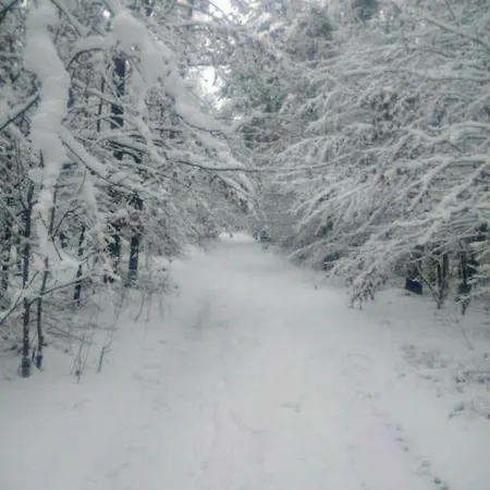 Przystanek Vakantiehuis Golubie
