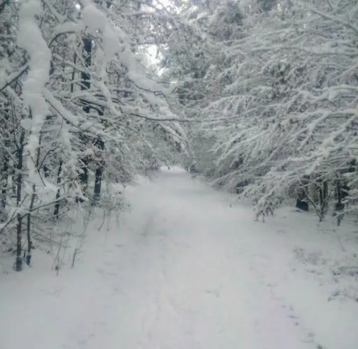 Przystanek Semesterbostad Golubie