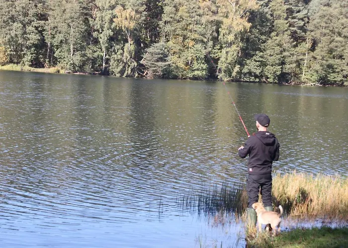 Przystanek Semesterbostad Golubie